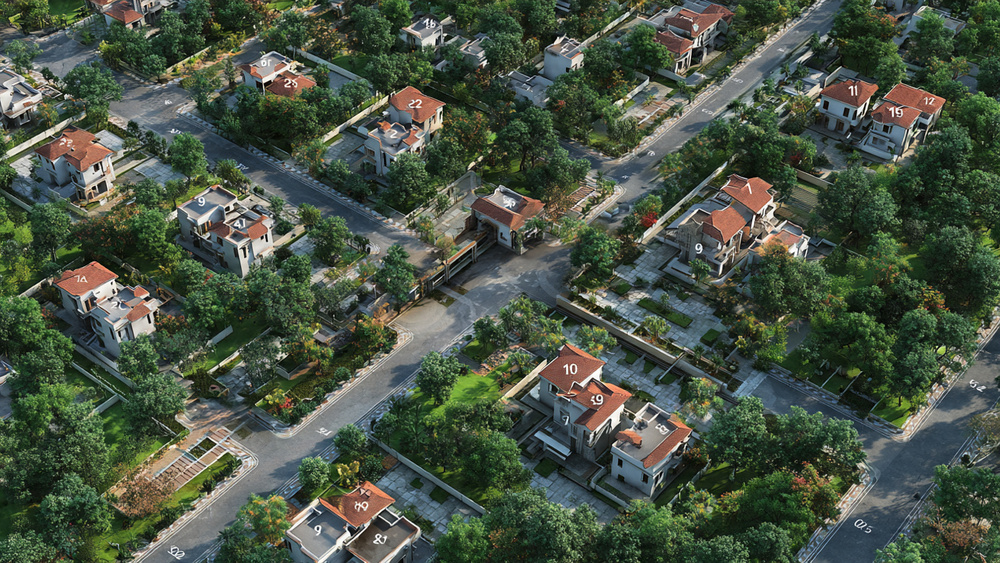 Palm Vista Layout