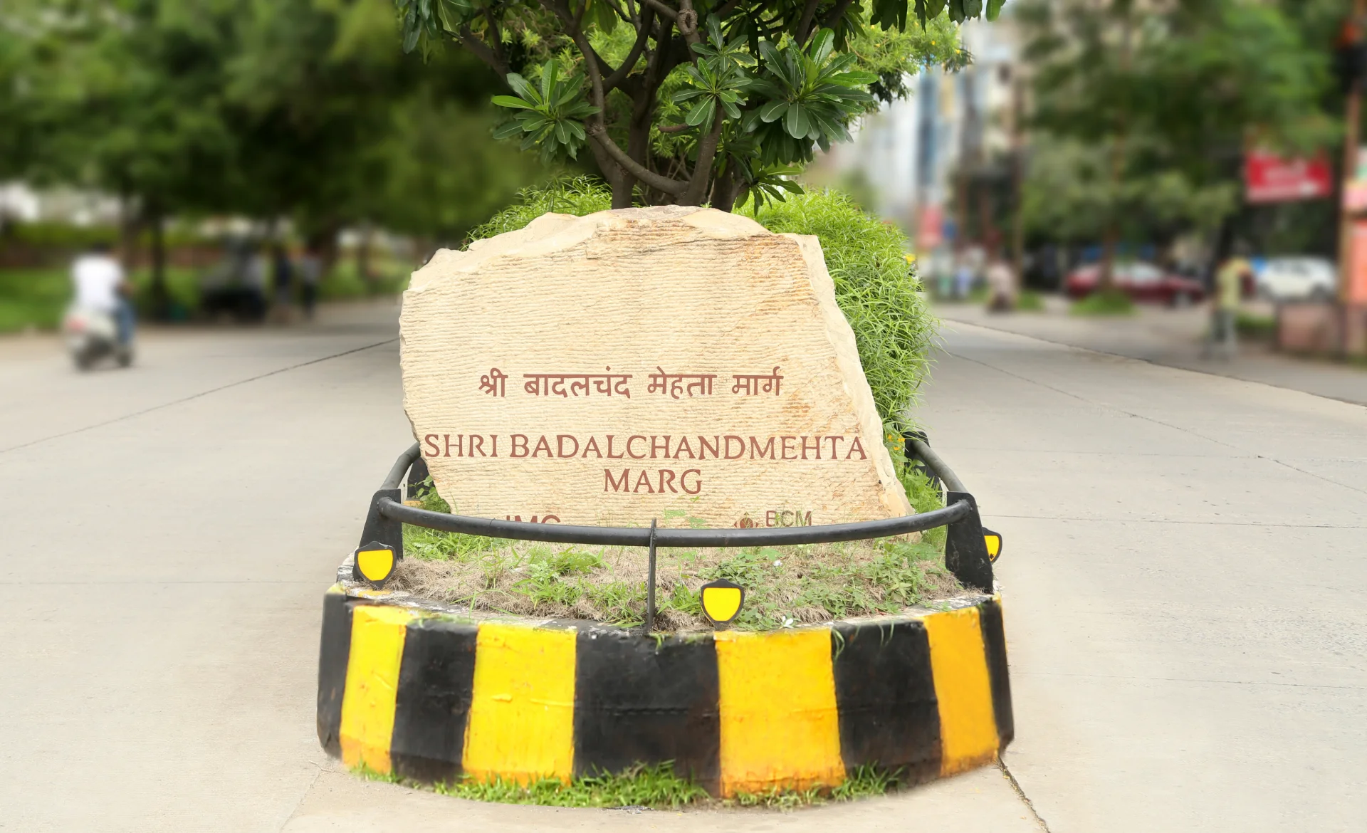 bcm-marg-background