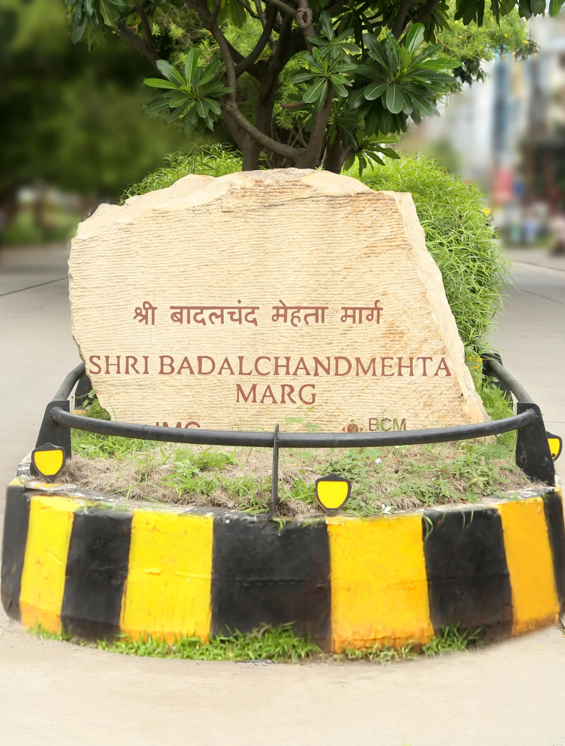 bcm-marg-background