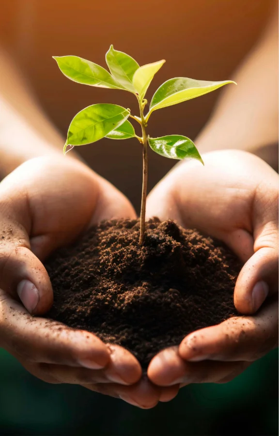 Corporate Social Responsibility (CSR)