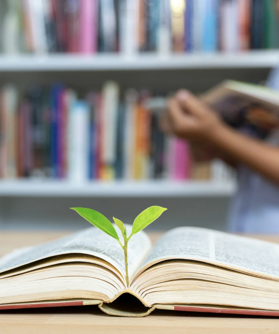 education background