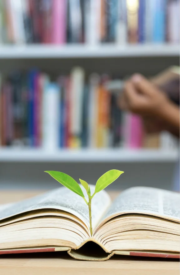 education background