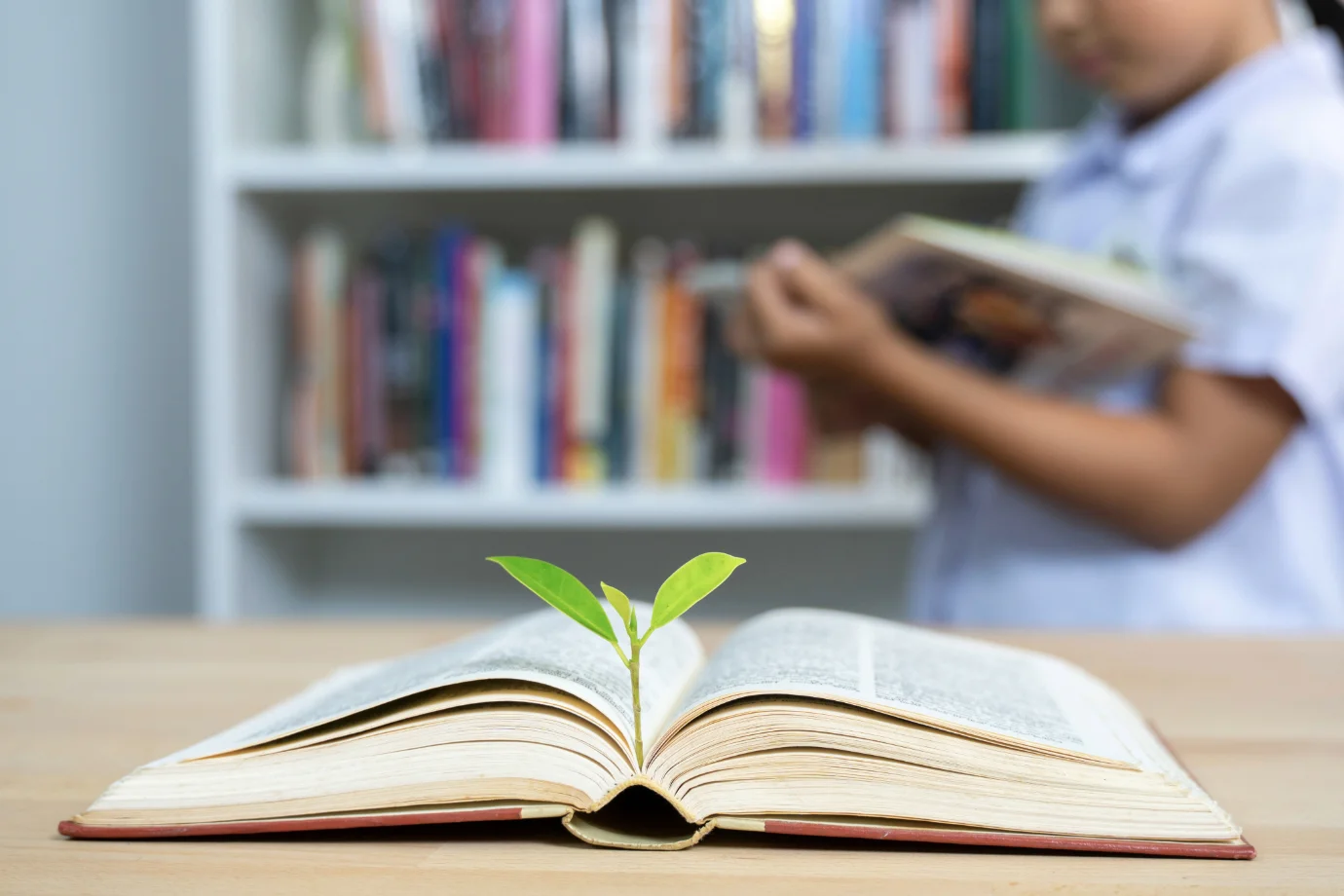 Supporting Education - Bravo Book Bank Project