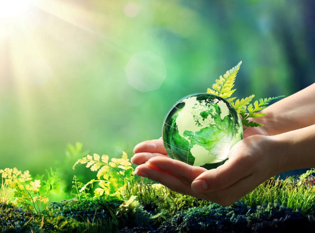 Creating Impact